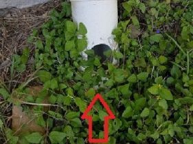 Home Owner Tip to Prevent Termite Attacks